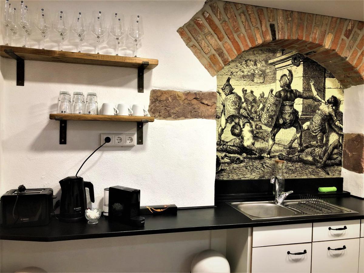 Luxus Apartment Colloseum In Der Stadt Фрайбург Екстериор снимка